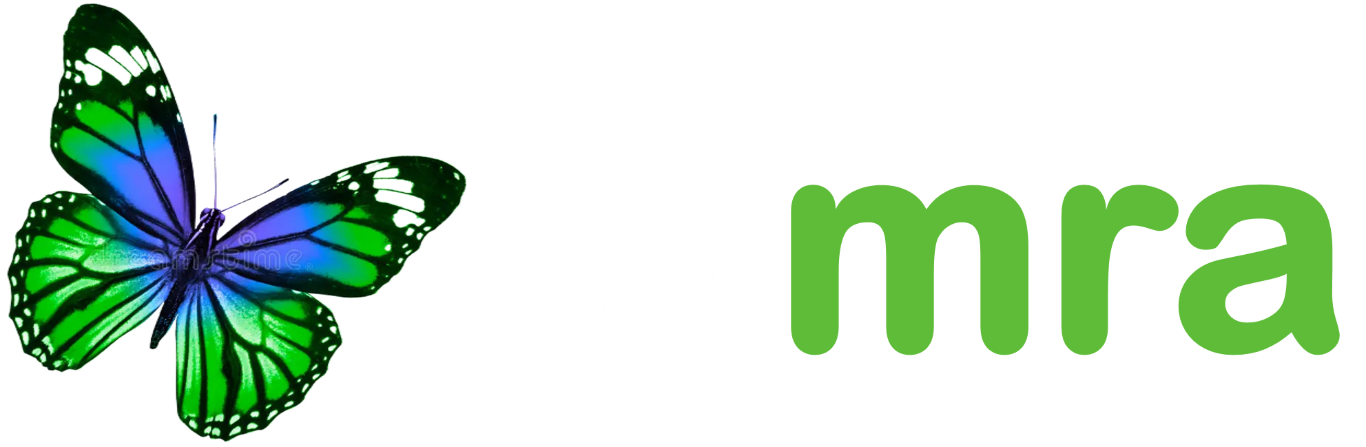 Partner